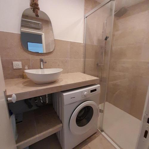 une salle de bain avec une machine à laver et un lavabo dans l'établissement Entre La Mer et Les Etoiles, à Rayol-Canadel-sur-Mer