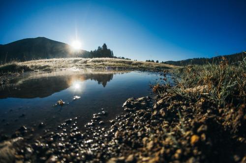 a small pond in a field with the sun in the background at Kanjon 987 in Podgrad