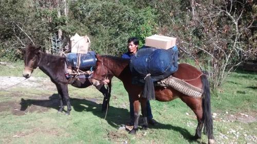 Photo de la galerie de l'établissement CasaNostra Choquequirao, à Cachora