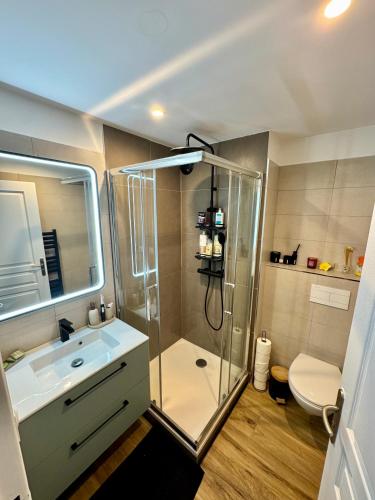 une salle de bain avec une douche, un lavabo et des toilettes dans l'établissement Appartement T3 avec terrasse et parking dans petite résidence fermée et calme , proche de toutes commodités, à Marseille