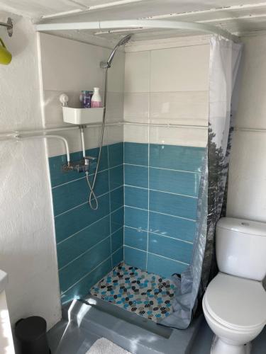 a bathroom with a shower and a toilet at Mazsiliņi in Upesgrīva