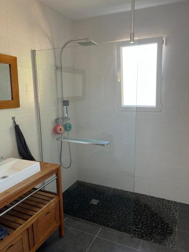 une salle de bain avec douche et lavabo dans l'établissement Villa au Teich cœur du Bassin d Arcachon 3 chambres, au Teich