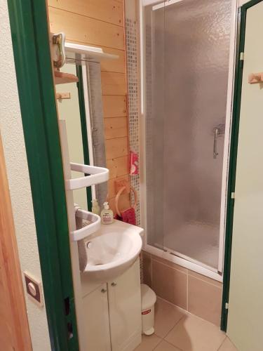 une salle de bain avec un lavabo et une douche dans l'établissement Comfortable and charming studio Foux d Allos Centre 4 pers, à Allos