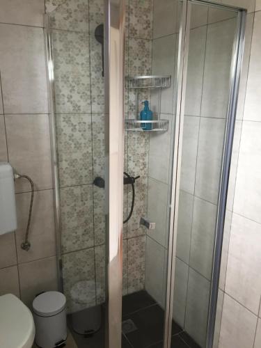 a bathroom with a shower with a toilet at Casa da Baixa da Ribeirinha in Baixa