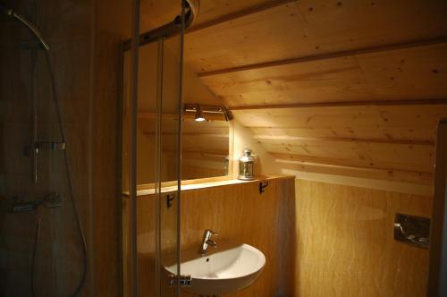 uma casa de banho com um lavatório e uma cabina de duche em vidro. em Przystanek Rospuda em Sucha Wieś