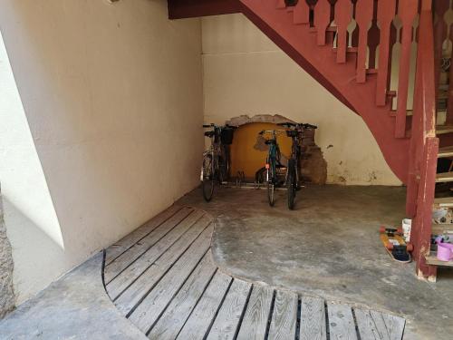 Rattasõit majutusasutuse Arènes 2 à deux pas du centre historique aladel või selle läheduses