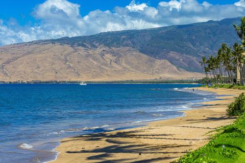 a beach with palm trees and a mountain in the background at Nani Kai Hale 604 by Coldwell Banker Island Vacations in Kihei