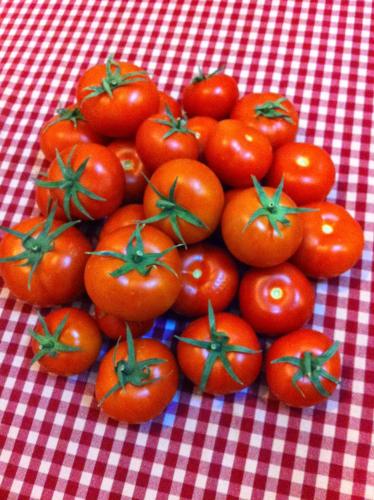 a pile of tomatoes on a red and white table cloth at Dar Rouissi in Tozeur