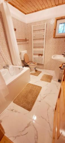 a bathroom with a sink and a toilet at Pensiunea Geo in Lunca Mare