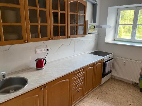 Kuchyň nebo kuchyňský kout v ubytování Apartmány J L A
