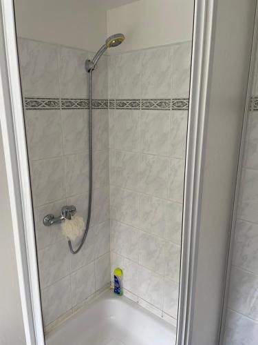 Koupelna v ubytování Apartmány J L A