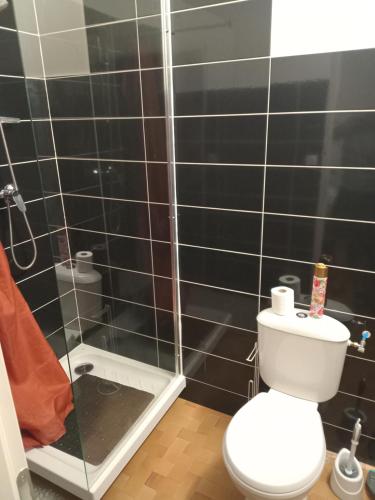 a bathroom with a toilet and a glass shower at Studio annonay in Annonay