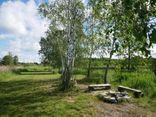 two benches in a field with trees and grass at Castle Lakes - Apartamenty in Legnica