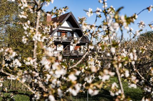 a house behind some trees with white flowers at Gästehaus Obsthof Gottenheim in Gottenheim