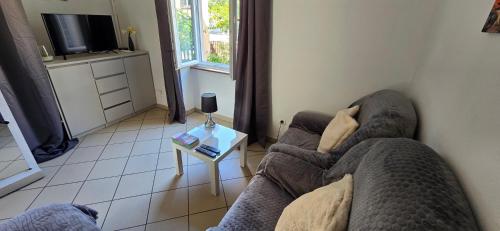 un salon avec un canapé et une table dans l'établissement Appartement avec jardin à Colmar, à Colmar