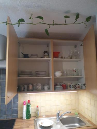 a kitchen with a sink and a shelf with green leaves on it at Brookside Old Village Studio at a walking distance from Bled in Bohinjska Bela