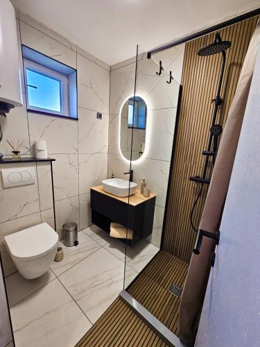 a bathroom with a toilet and a sink and a mirror at Stressless Nin in Nin