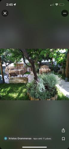 Ein Garten an der Unterkunft Elegant rooms