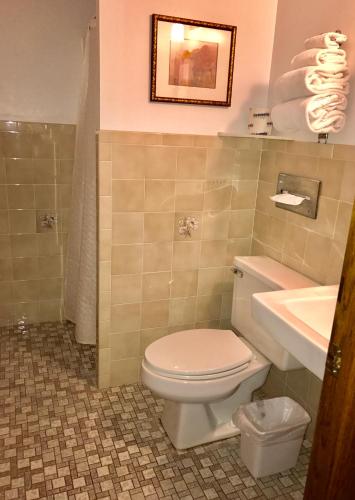a bathroom with a toilet and a sink at Afton House Inn in Afton