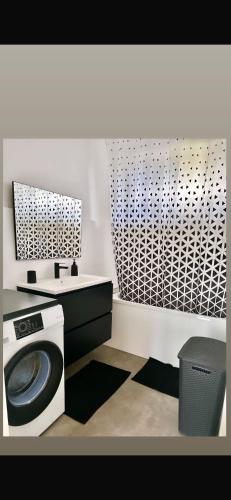 - une salle de bains pourvue d'un lave-linge dans l'établissement A deux pas du musee de l automobile, à Mulhouse