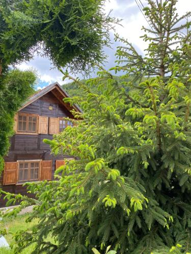 a log cabin obscured by trees in the woods at Aphrodite Hills Apartments-Stara Planina in Crni Vrh