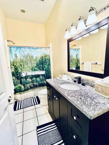 a bathroom with a sink and a mirror at Downtown, Roof Deck, Parking in Saugatuck