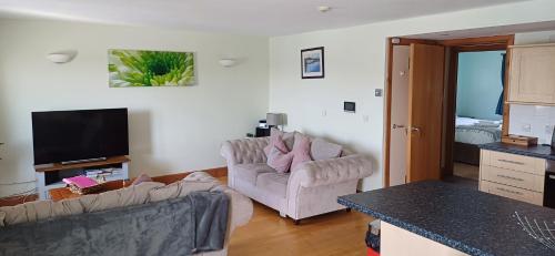 a living room with two couches and a tv at Marina View in Milford Haven