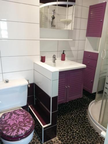 une salle de bain avec un lavabo et des toilettes dans l'établissement Annecy Cocoon Appart, à Annecy