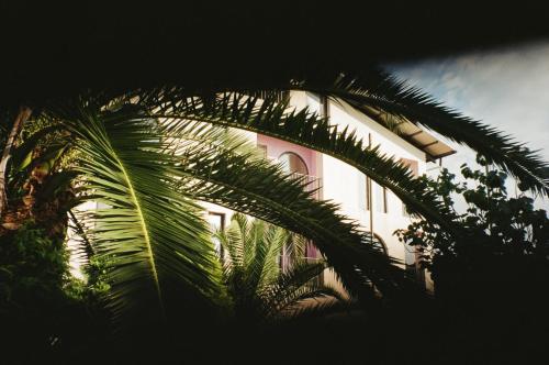 a building with a palm tree in front of it at Limonura in Tsikhisdziri