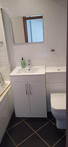 a white bathroom with a sink and a toilet at Marina Outlook in Milford Haven
