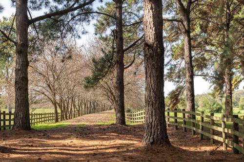 a path through the trees next to a fence at Chacra en Emprendimiento Tierra de Caballos in Colonia Estrella