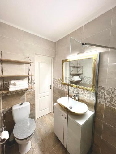 a bathroom with a sink and a toilet and a mirror at Vila Sedef Costinești in Costinesti