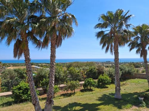 a group of palm trees with the ocean in the background at L'Oasi del Mediterraneo in Sampieri