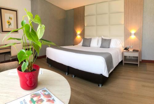 a hotel room with a bed and a potted plant at Hotel San Fernando Plaza in Medellín