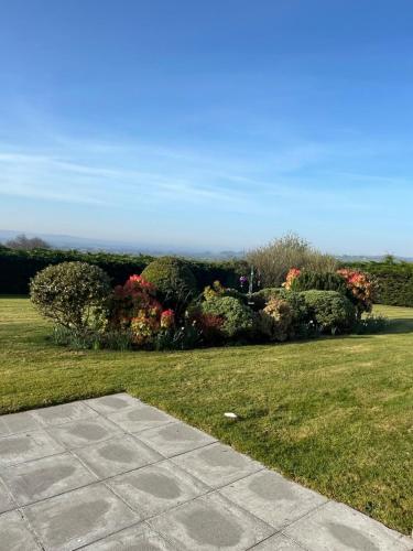 a garden with bushes and flowers in a field at Ardnageeha in Doagh