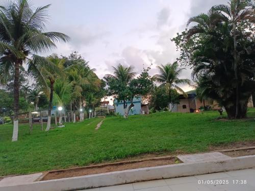 a park with palm trees and a blue house at Sítio do patinhas in Nova Iguaçu