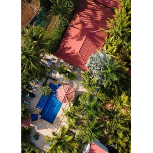 Un jardín fuera de Drift Away Lodge CR
