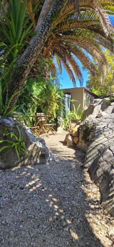 a palm tree is leaning over a gravel road at The Rocks Chalets in Takaka