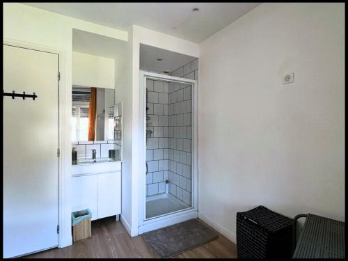 een badkamer met een inloopdouche naast een glazen deur bij SQ Appart-ment in Saint-Quentin