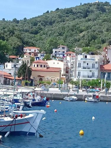 a group of boats docked in a harbor with buildings at Mantemi house in Skopelos Town
