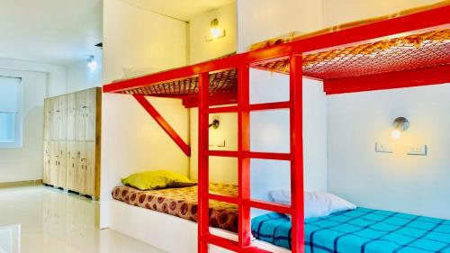 a room with two bunk beds and a ladder at CasaColibri in Pasto