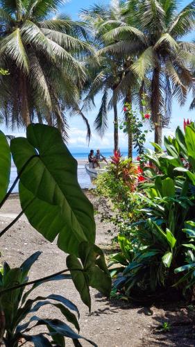 two people in a boat on a beach with palm trees at Posada Nore, Nuquí in Arusí