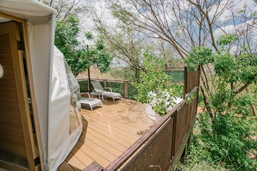 Glamping Tortuga Verdeにある庭