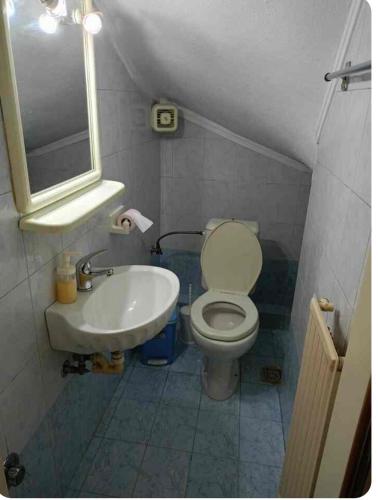 a small bathroom with a toilet and a sink at Ef-xaris in Perea