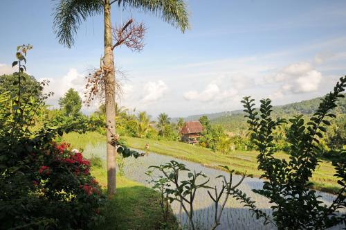 a view of a river with a house in the background at Lesong Hotel and Restaurant in Munduk
