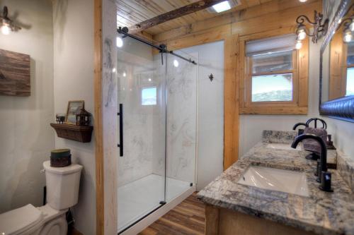 a bathroom with a shower and a sink and a toilet at Homestake Cabin in Creede