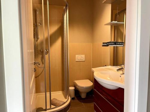 a bathroom with a shower and a toilet and a sink at Residenz Aichwaldsee in Unteraichwald