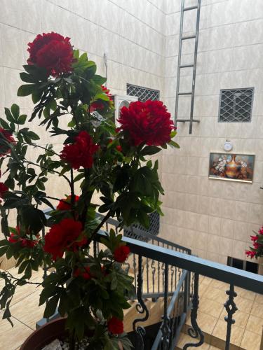 Résidence Shalom Bonamoussadi - Appartements Deluxe avec Wifi, Clim, Parking, Gardien 24h