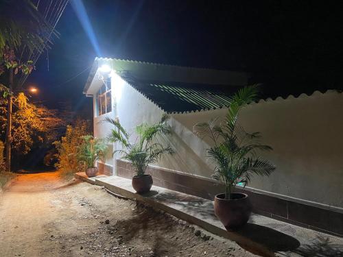 a house with two plants inront of it at night at Villa Cris Minca in Minca