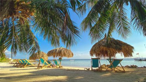 a group of beach chairs and palm trees on a beach at Hotel Santiago de Tolú in Santiago